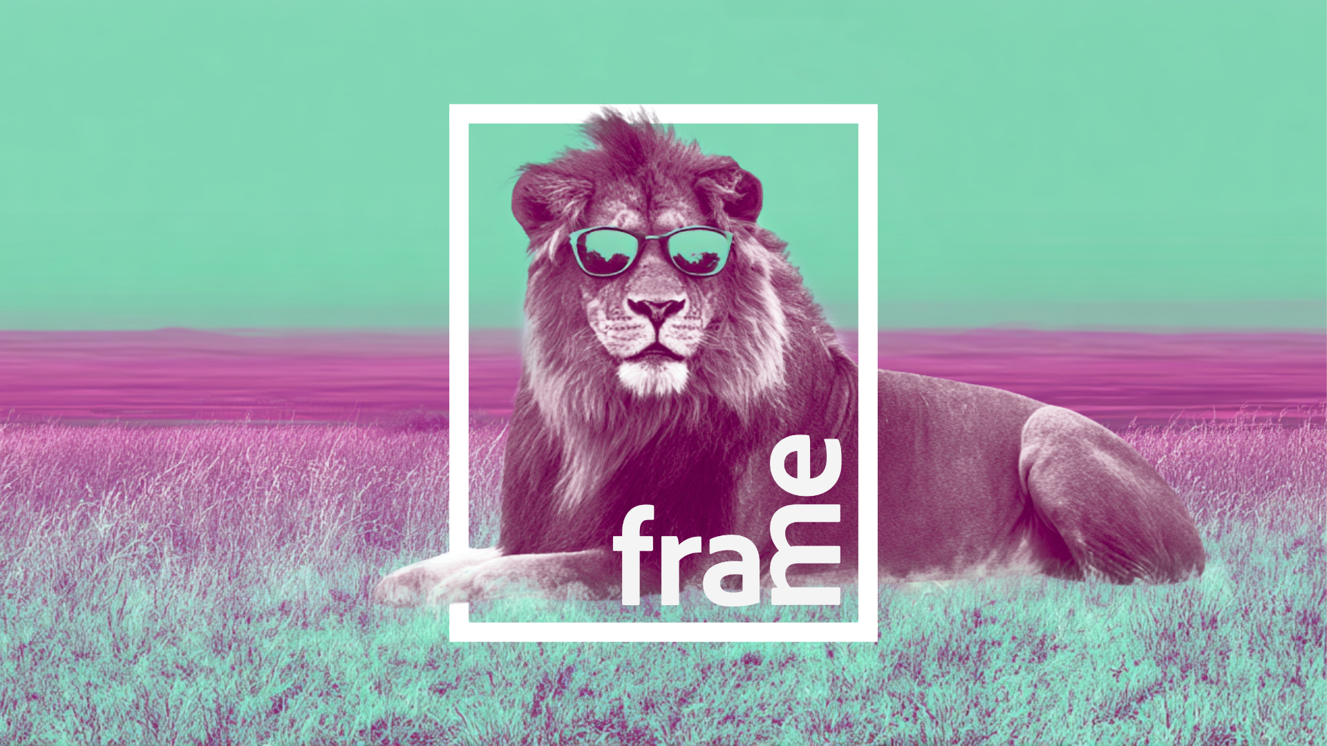 Frame X SKYE HI