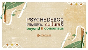 Psychedelic Culture 2027: Beyond Consensus