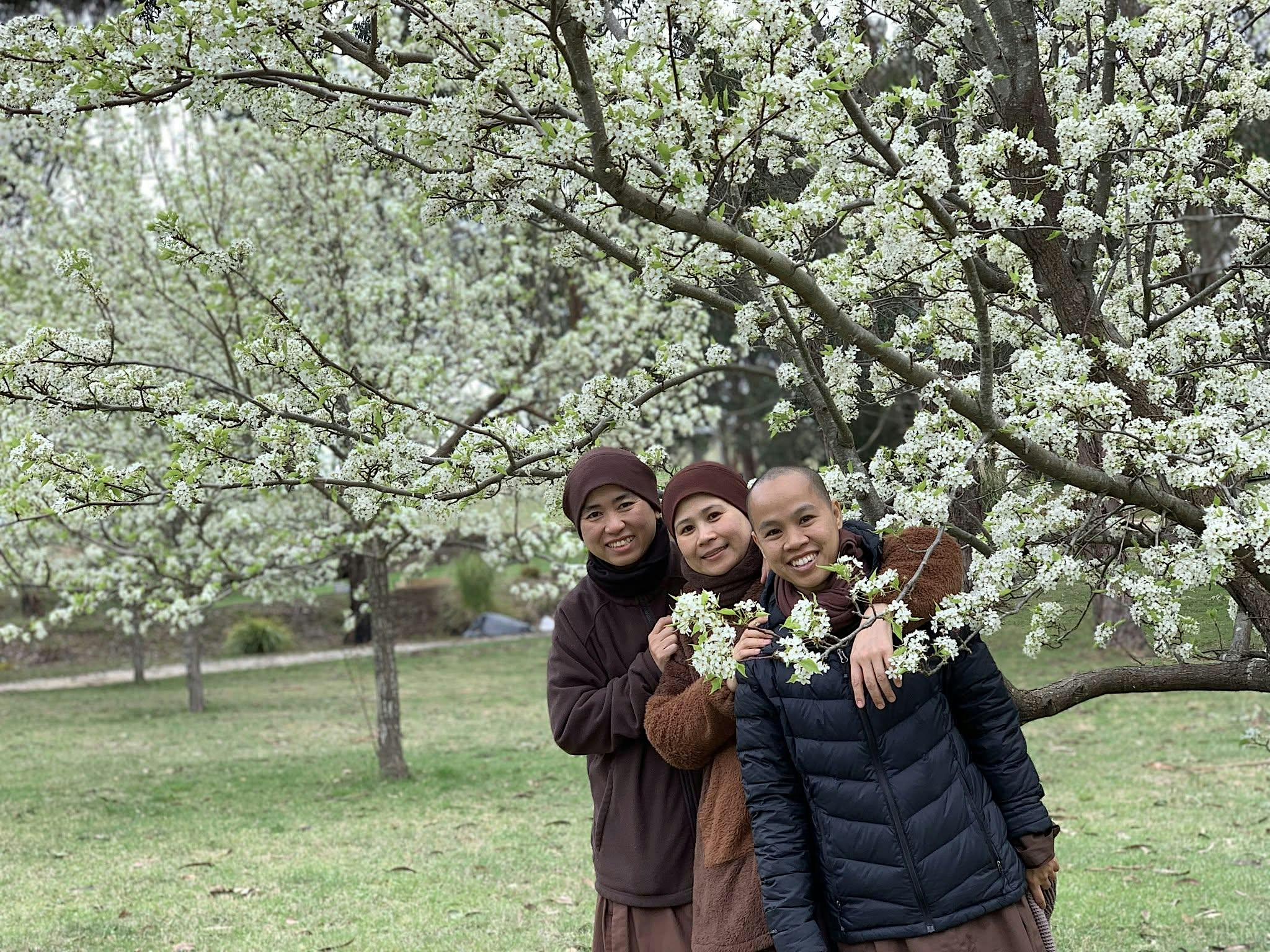 Day of Mindfulness with the Monastics of Stream Entering Monastery