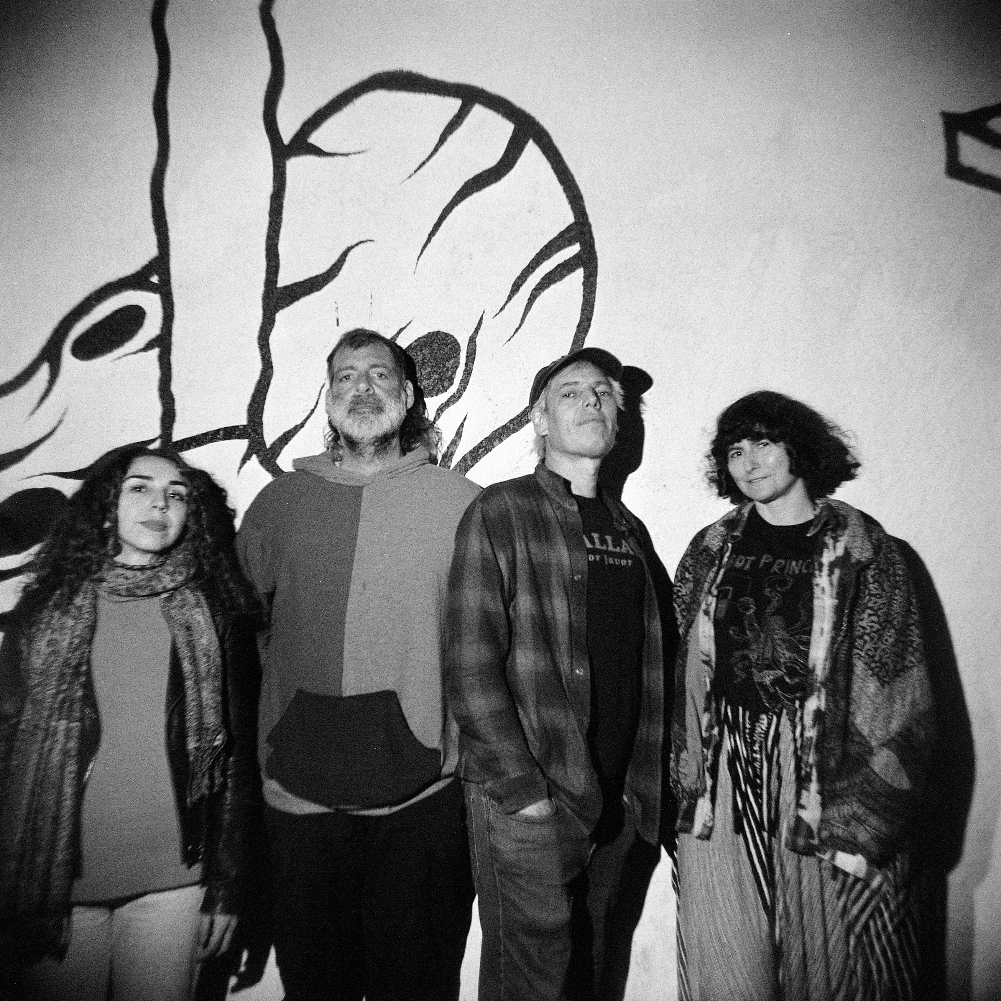 Jeffrey Lewis & The Voltage
