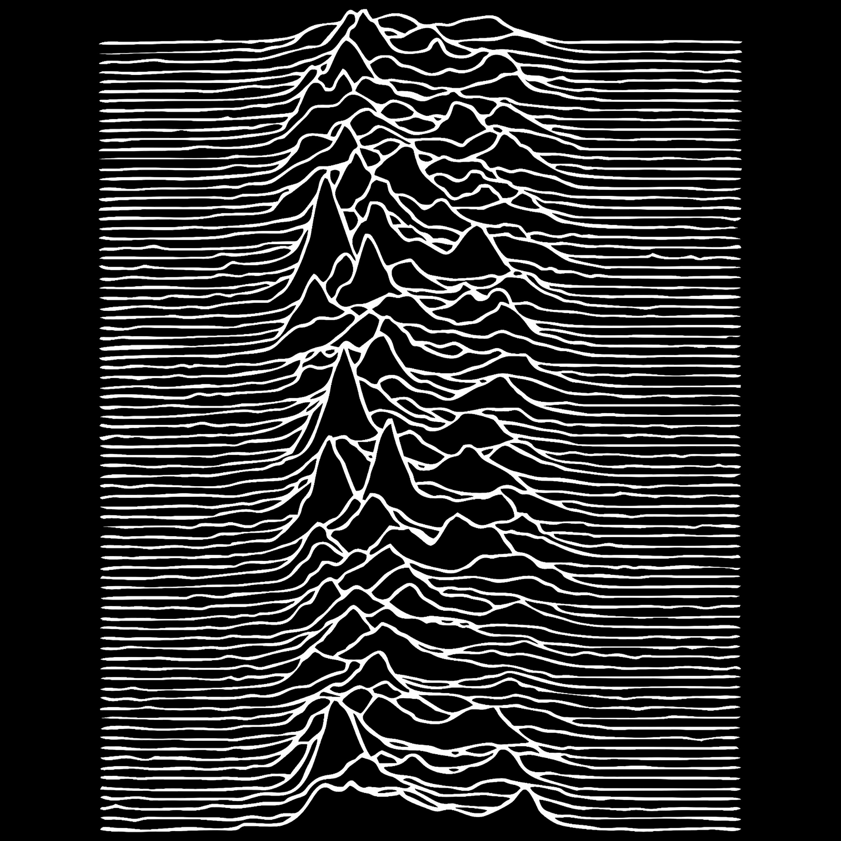JOY DIVISION UNDERCOVER