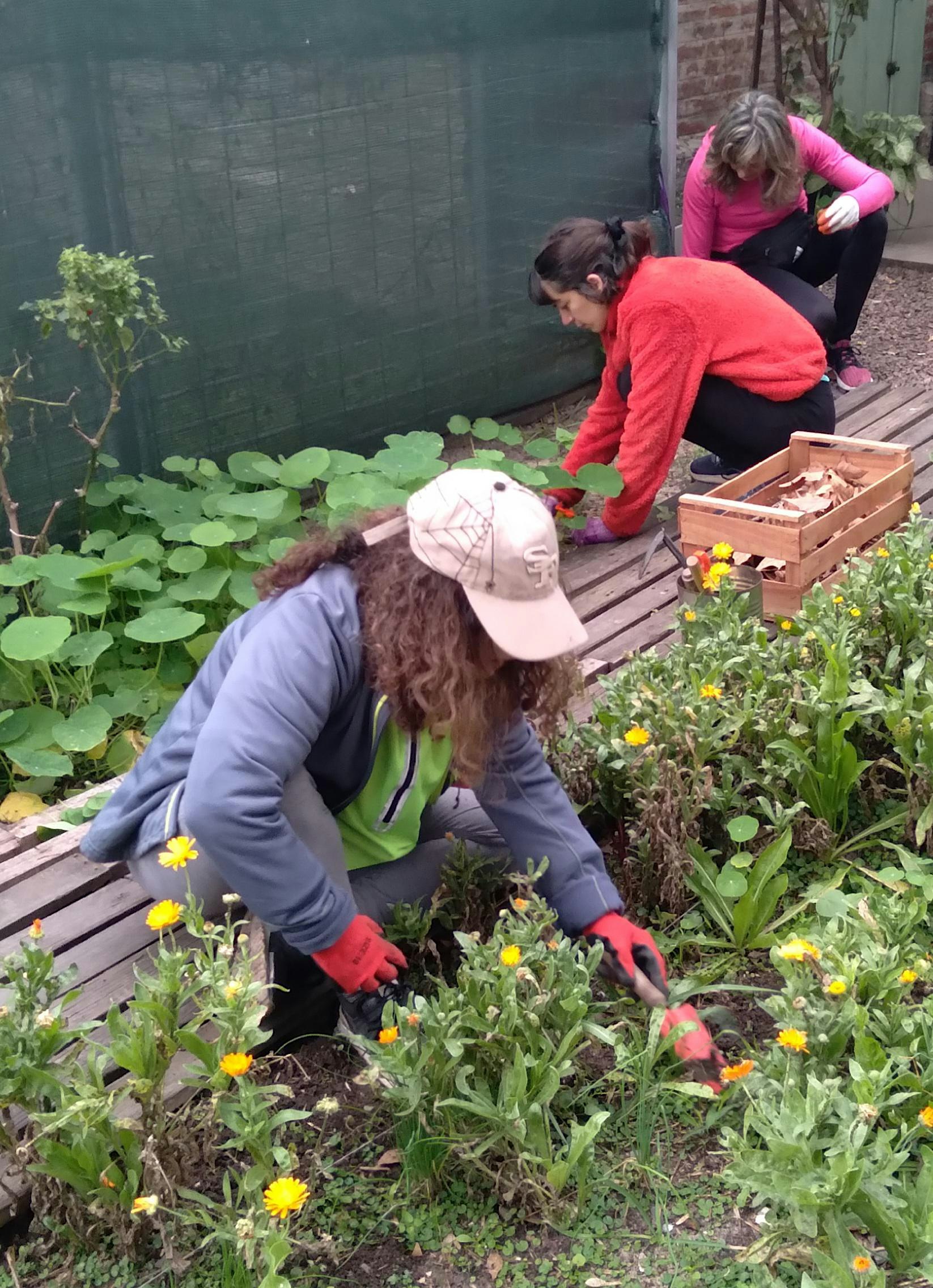 Agroecología urbana: con las manos en la tierra