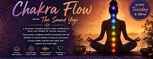 The Sound Yogi Healing Experience