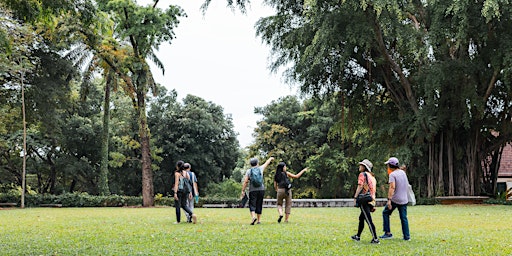 From Seed to Tree: Fort Canning (26 Sept 26)