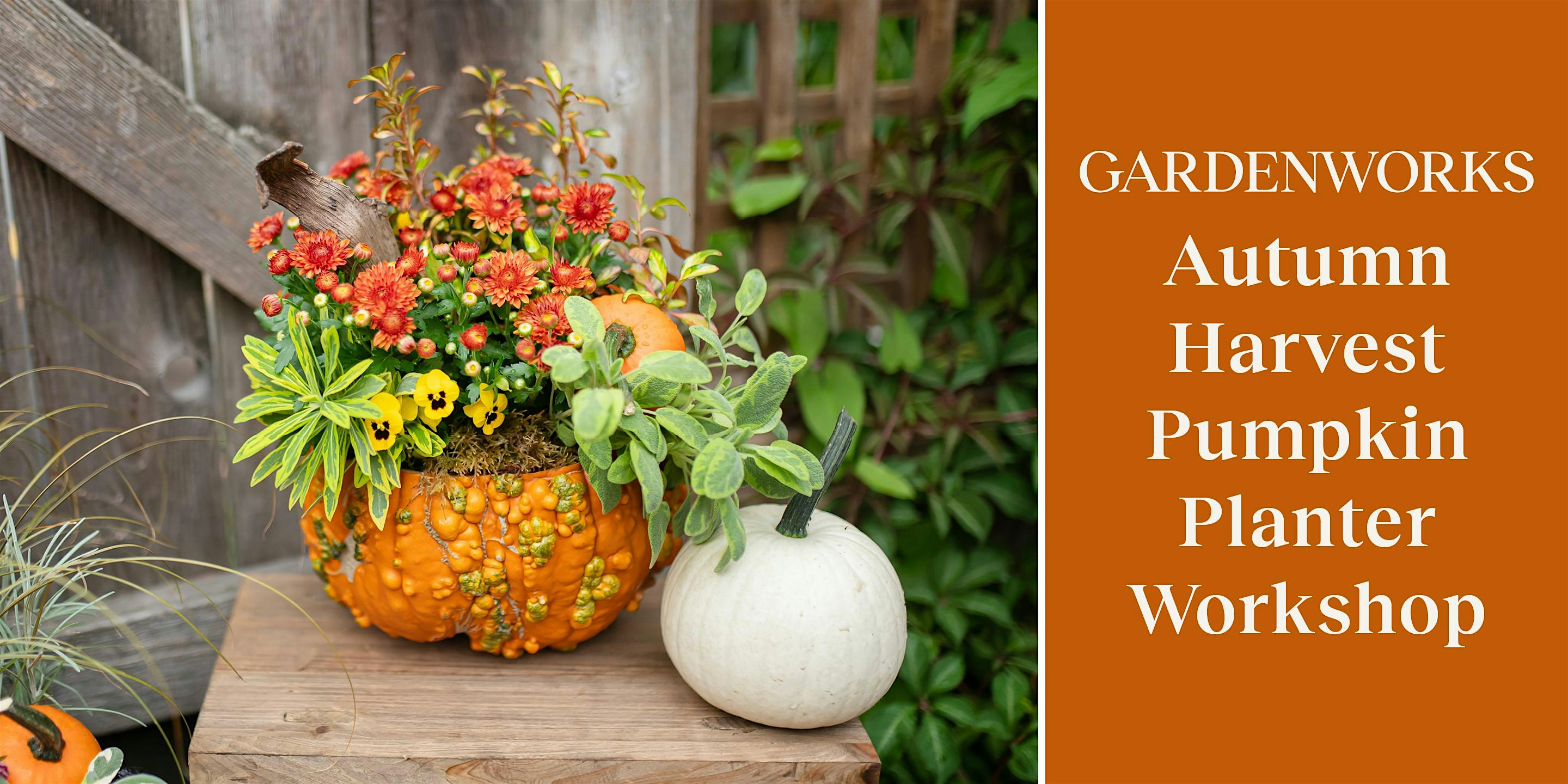 Autumn Harvest Pumpkin Planter Workshop at GARDENWORKS North Shore