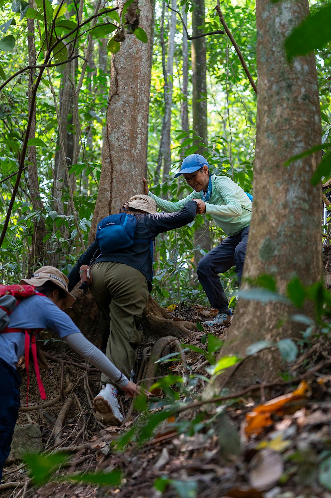 Nature in the City - Maju Forest Walk