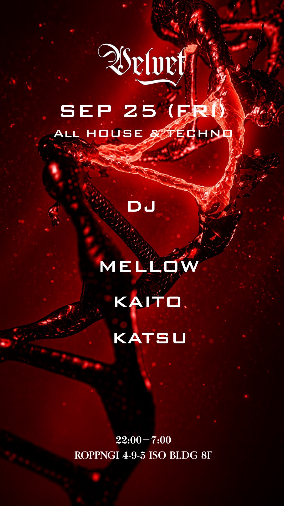 VELVET Lounge -All House & Techno-