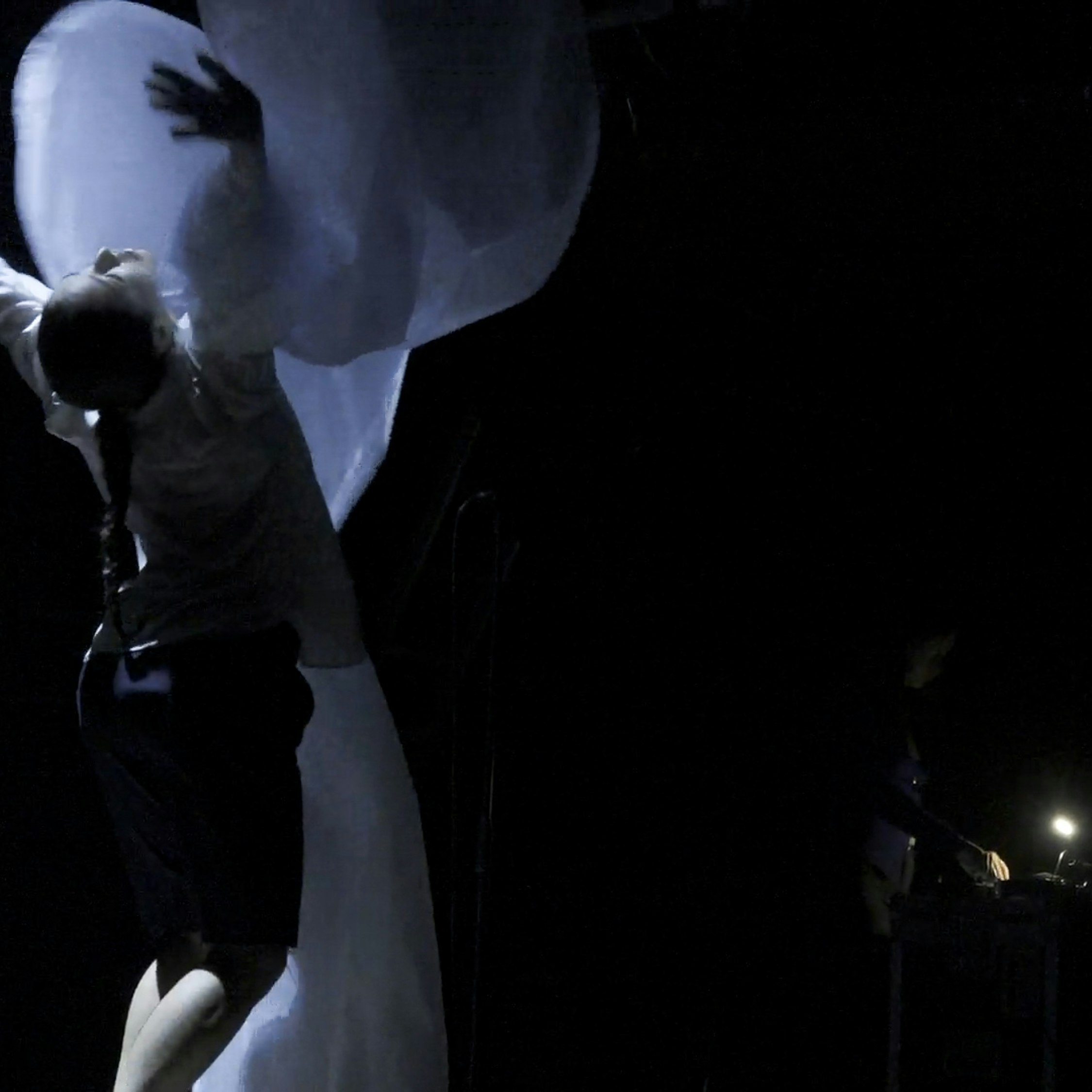 Liana Zhen-Ai & Astrid Sonne "Normal Dreams"