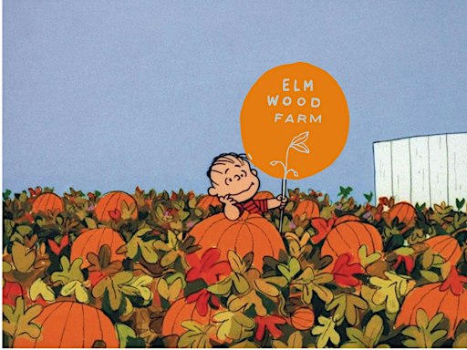 Elmwood Farm Pumpkin Party