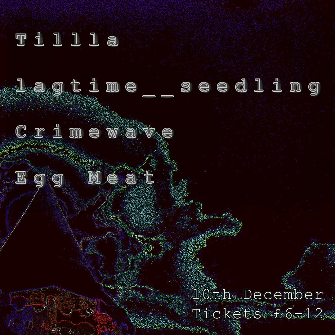 Forecast-Crimewave/EggMeat/lagtime_seedling/Tillla
