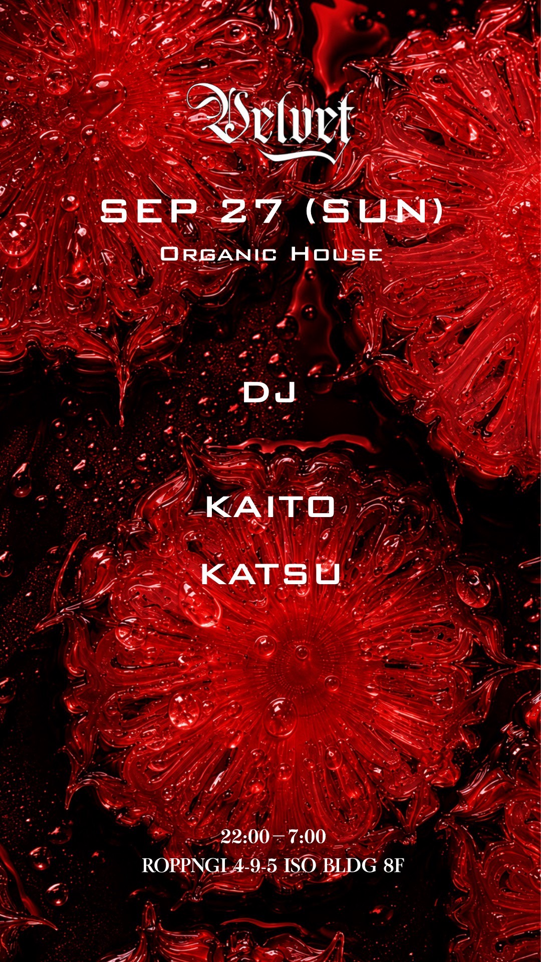 VELVET Lounge -Organic House-