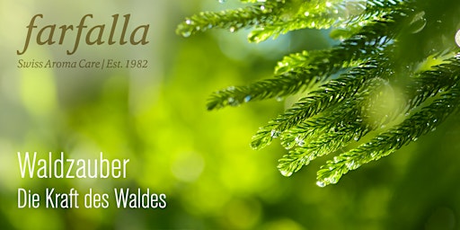 Waldzauber – die Kraft des Waldes / Bern (*be)