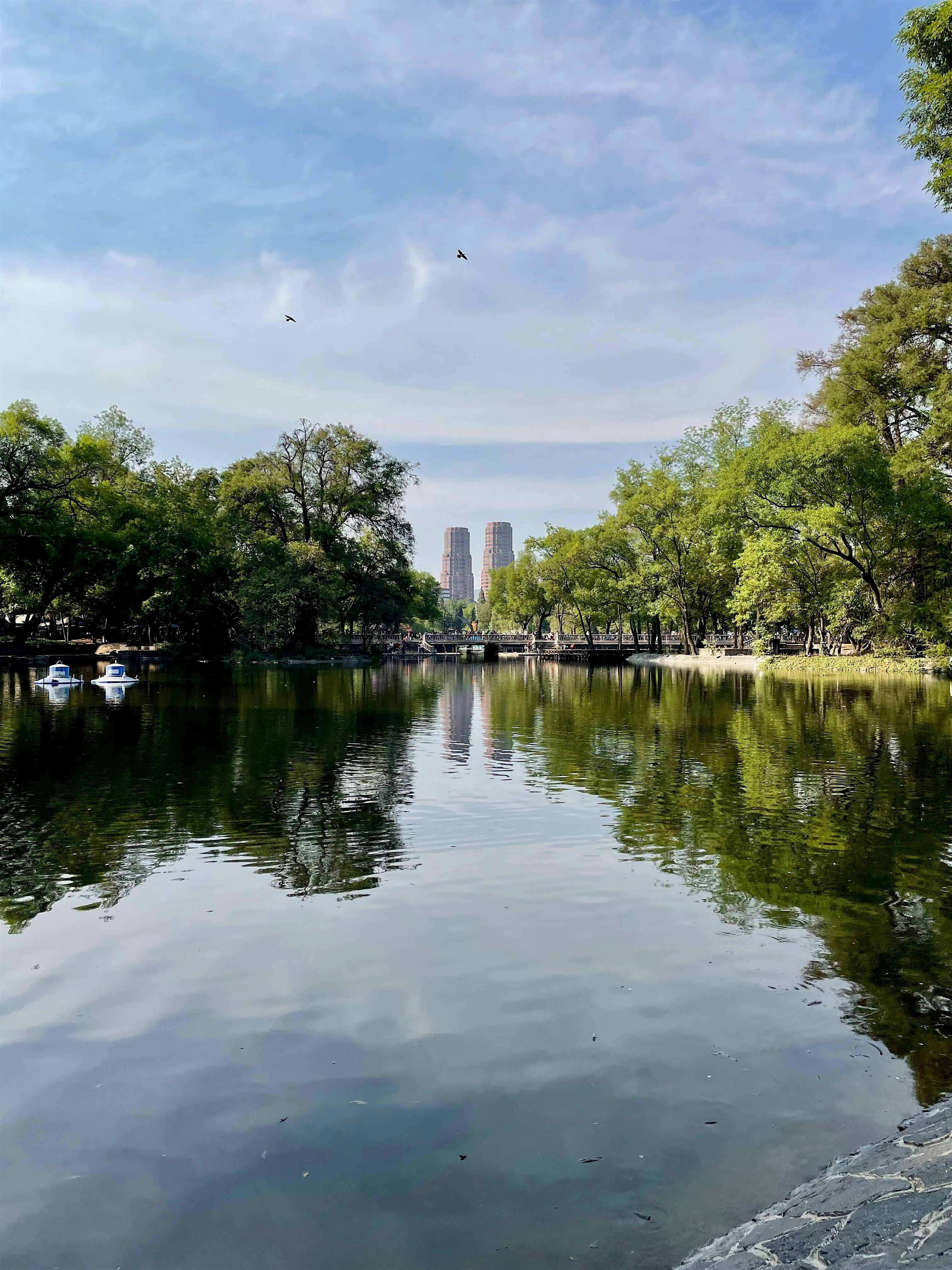 Rodada Chapultepec