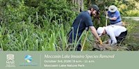 Moccasin Lake Invasive Species Removal