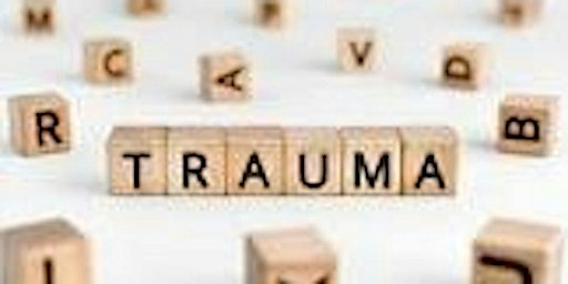 Trauma sensitief werken - basis-