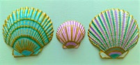 Handpainted Shells Workshop
