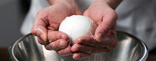 Hands-On: Mozzarella