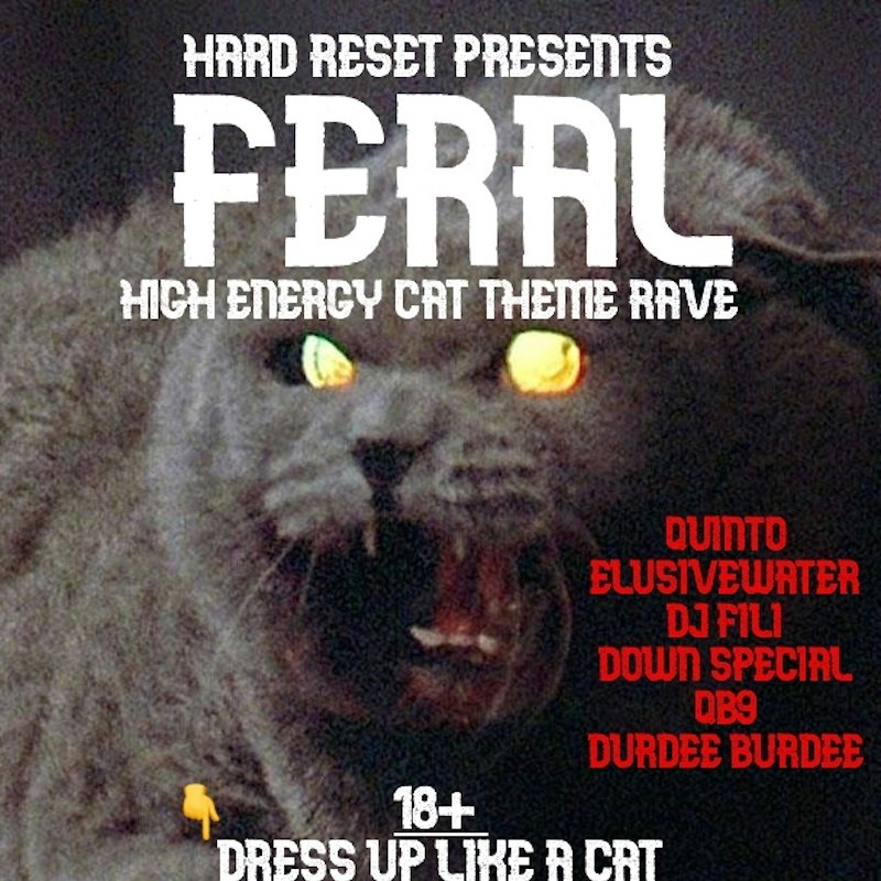 FERAL: hard dance rave. dress up like cats.