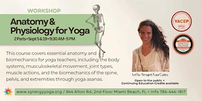 Anatomy & Physiology for Yoga Teachers!