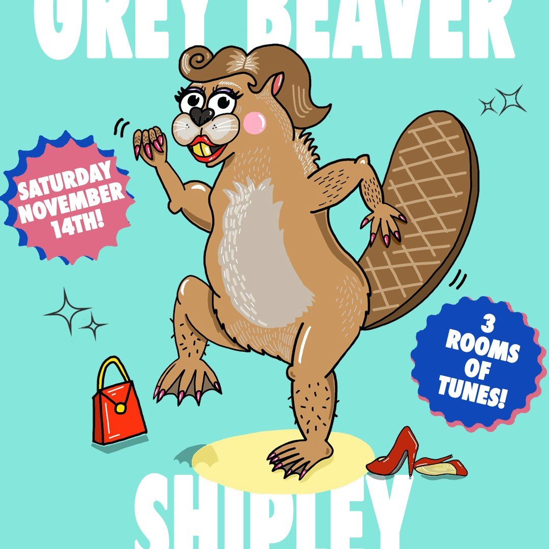 Grey Beaver