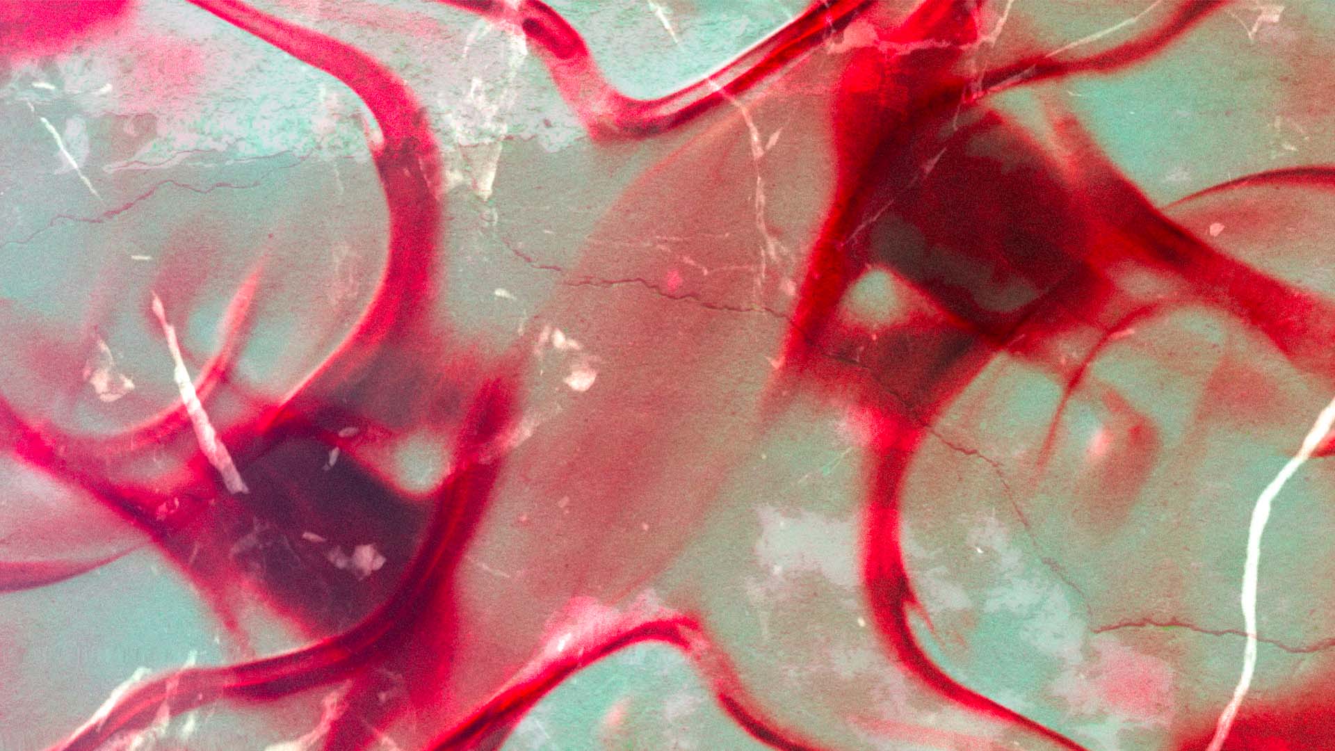 Macadam x CONTINUUM invite Loophole • Garçon ~ Carrier ~ REDLUVED B2B Sinesthesia