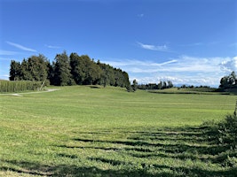 Singlewanderung westliches Allgäu: Große Alpsee-Runde (35-55 J.)