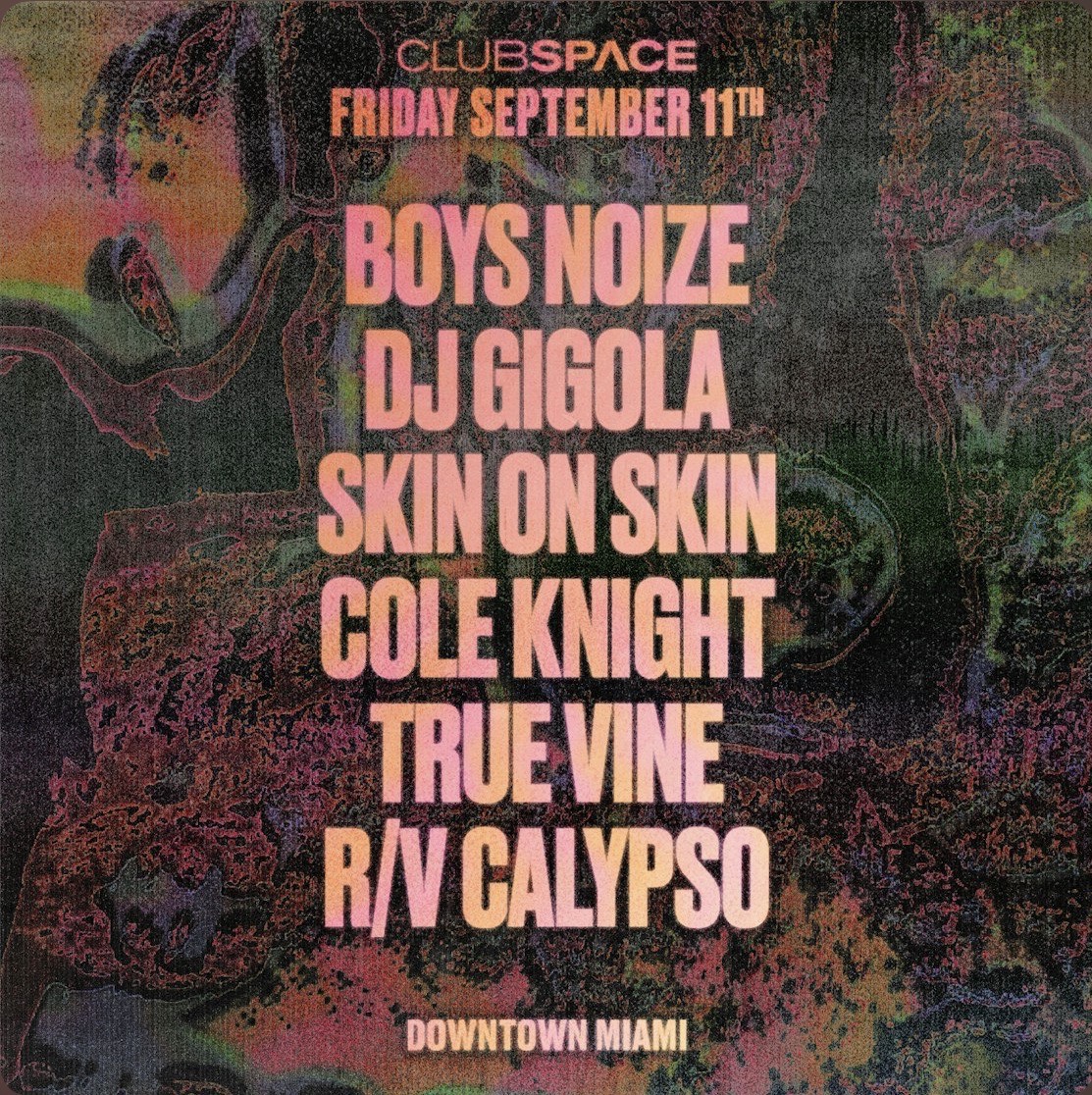 Boys Noize. DJ Gigola And Skin On Skin