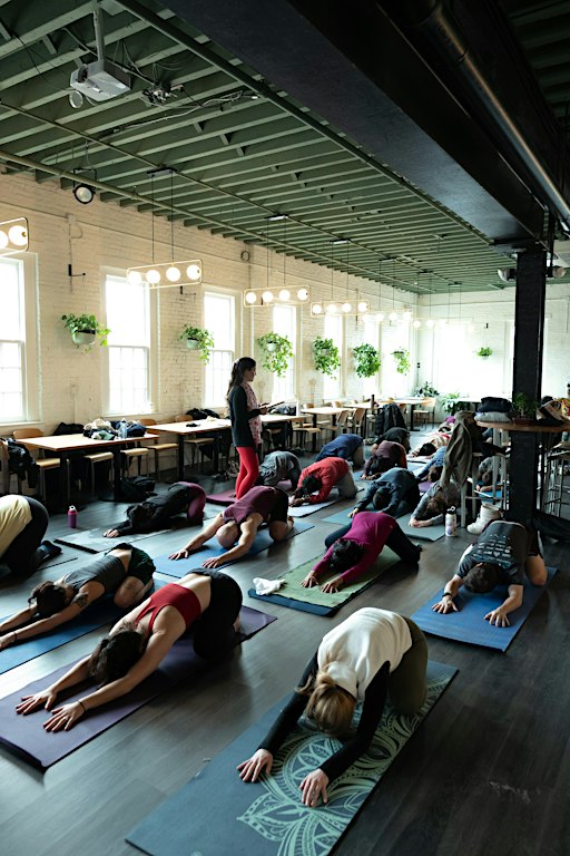 Taproom Yoga at Long Live Roxbury
