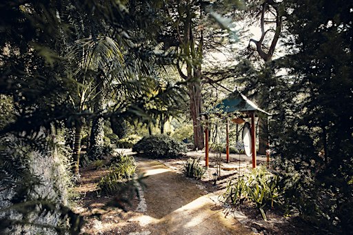 RECONNECT | Half-Day Breathwork Retreat in Sintra