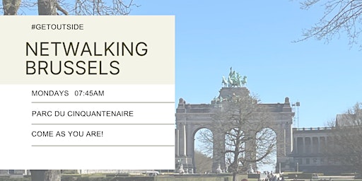 Netwalking Brussels