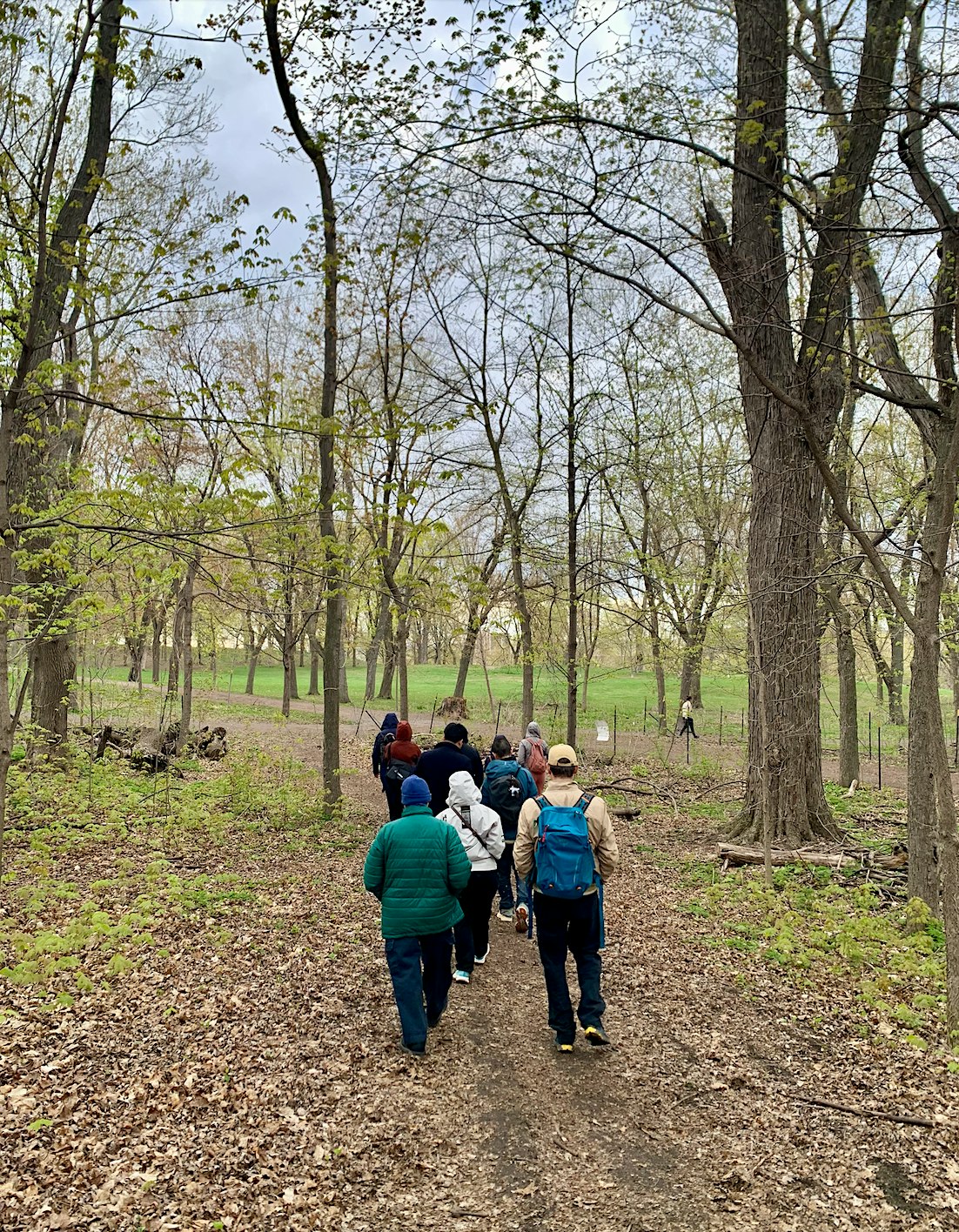 *SPECIAL* Nature Therapy Walk with Moire