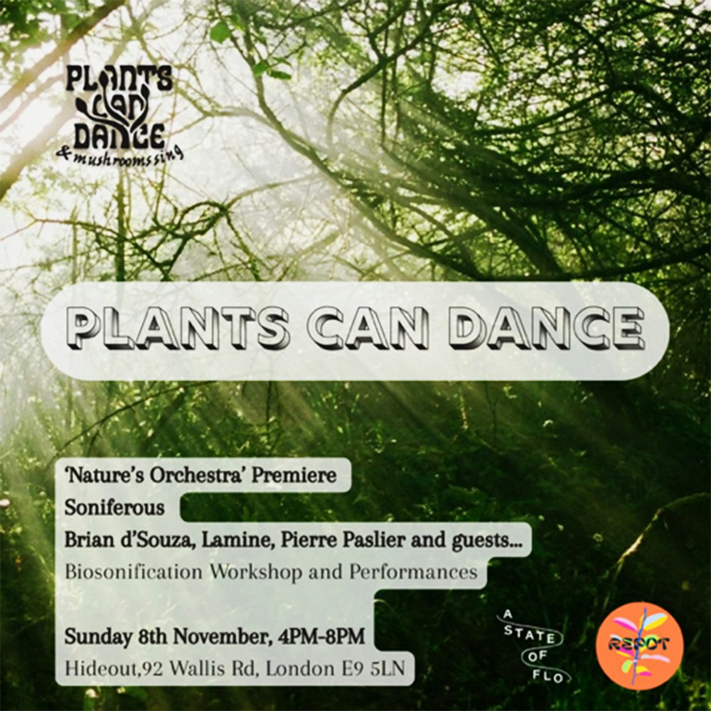 Plants Can Dance - Nature's Orchestra