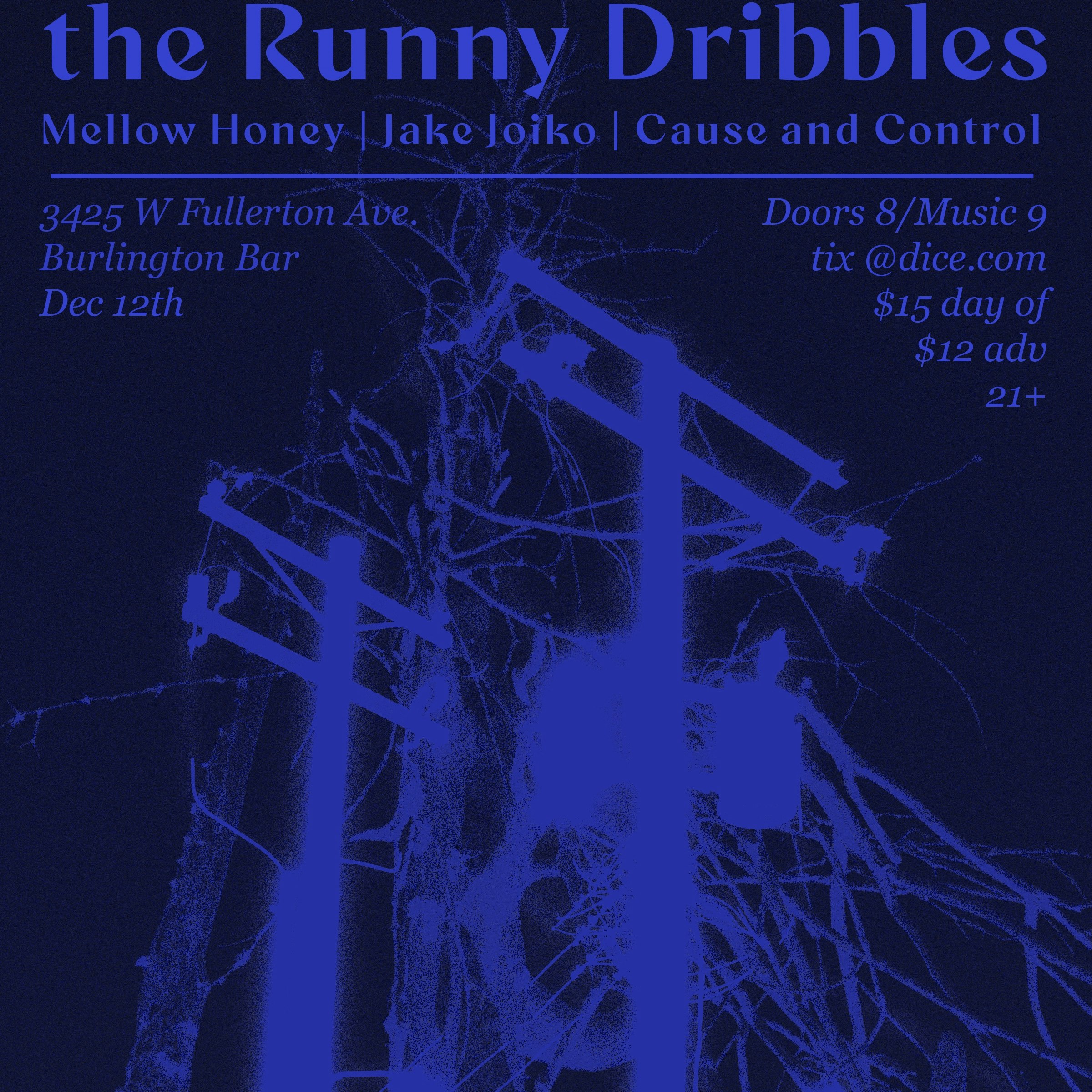 Jimmy Pibbles & The Runny Dribbles // Mellow Honey // Jake Joiko // Cause and Control