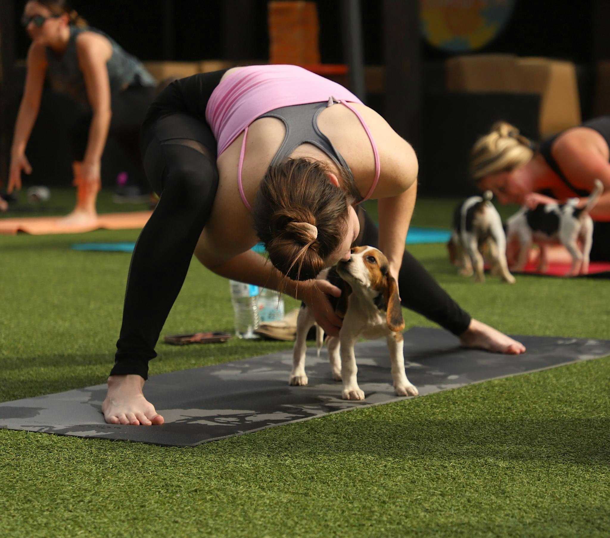 Rescue Puppy Yoga - Trufusion 9th & Co