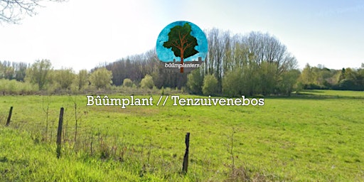 Bûûmplant // Tenzuivenebos (ma - nm)