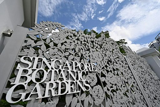 Heritage Walk at the Singapore Botanic Gardens