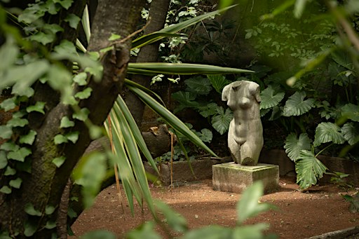 INMERSIONES CREATIVAS - CASA ORTEGA