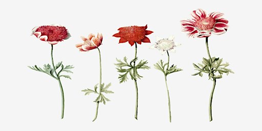 GARDEN FLORA in Watercolor Workshop