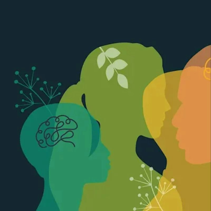 The Holistic ADHD Summit