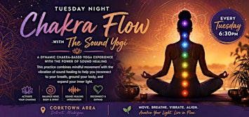 The Sound Yogi Healing Experience