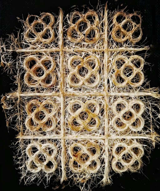 Drawing with Roots: EcoFest Moleskine