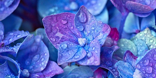 Reiki share with Jaslyn