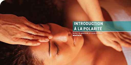Introduction à la polarité