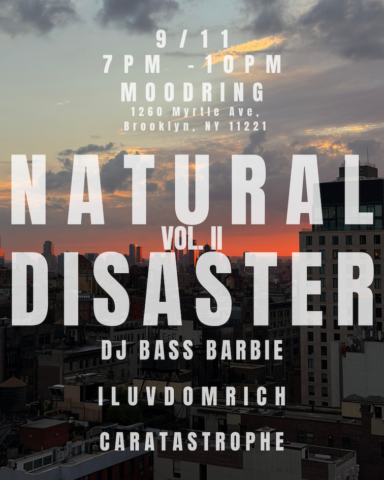 Natural Disaster vol. II