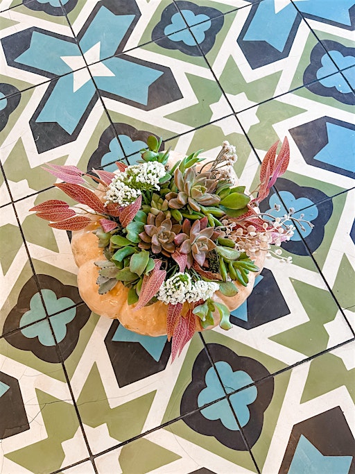 Pours & Pumpkin Succulents