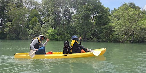 Kayaking Teambonding/Family Bonding Programme - Singapore