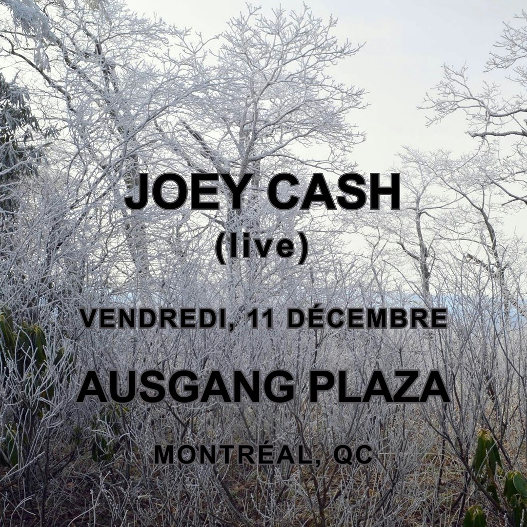 Joey Cash