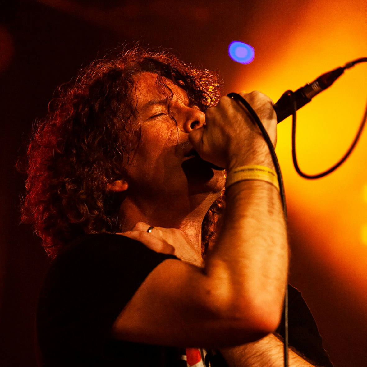Alive, A Tribute To Pearl Jam