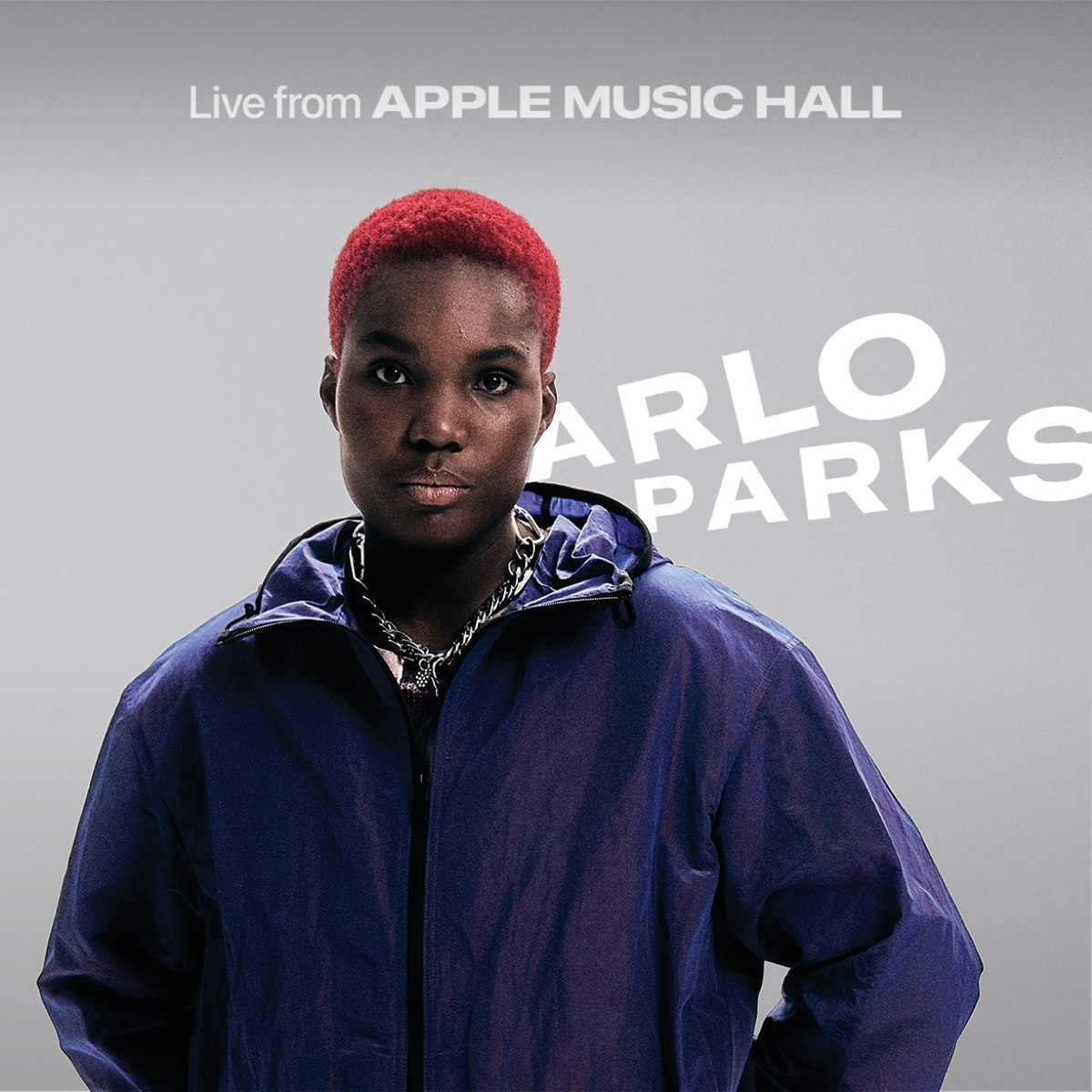 Arlo Parks