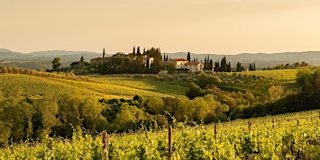 Uncorked: Tour of Toscana